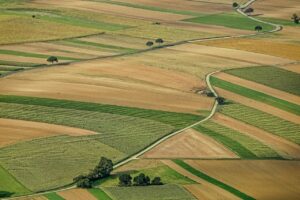 How to buy agricultural land in India